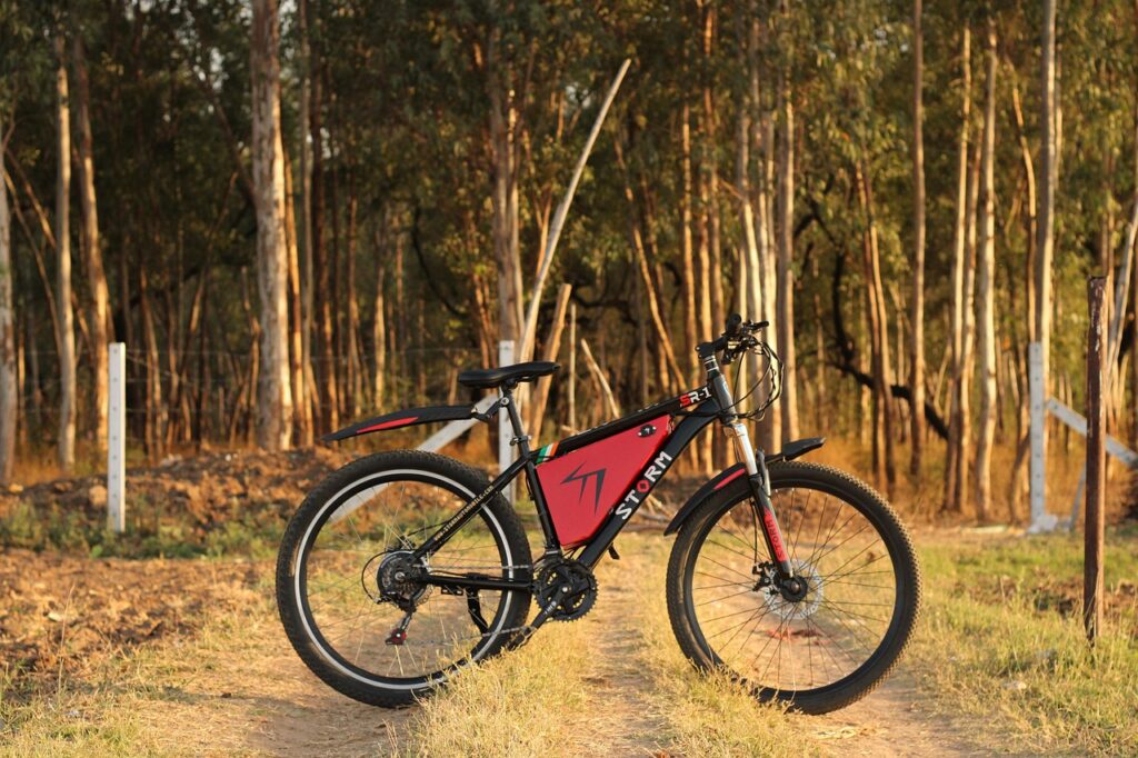 e-bike standing on front of a woodland.