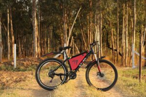 e-bike standing on front of a woodland.