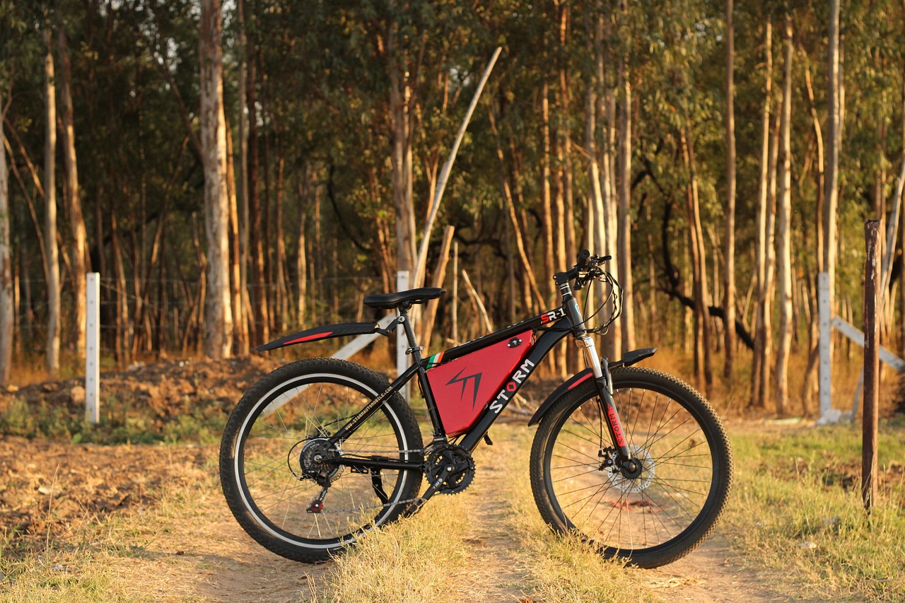 e-bike standing on front of a woodland.